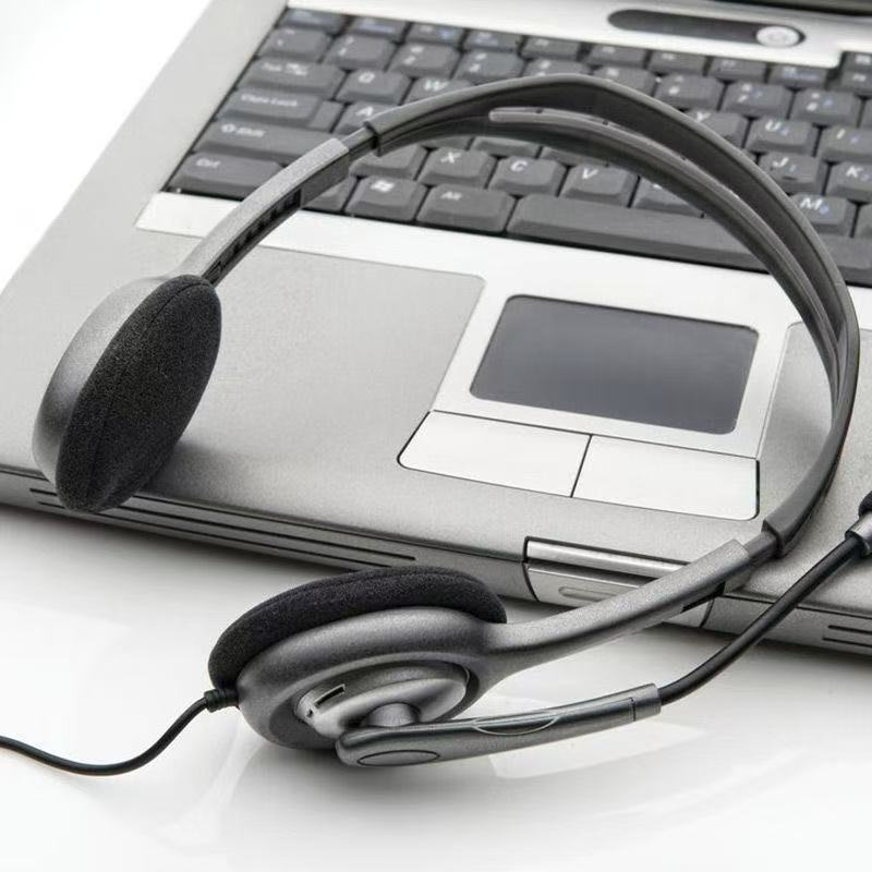 Logitech H110 wired headset, H111 with built-in microphone, suitable for business communications, office work, general use, and learning purposes.