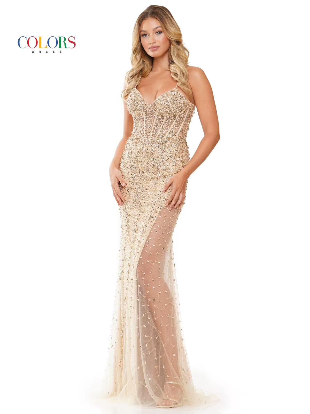 Midnight Reverie Sheer Gown